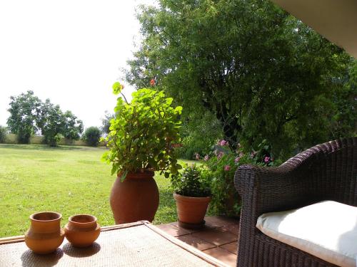 a patio with pots and potted plants on a table at Al Sandalyon in Quartu SantʼElena