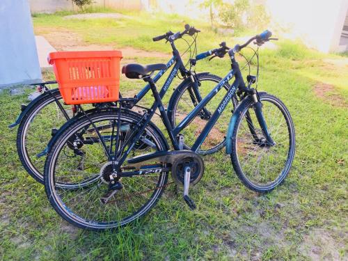 zwei Fahrräder, die nebeneinander auf dem Rasen geparkt sind in der Unterkunft Coral Apartments in La Digue