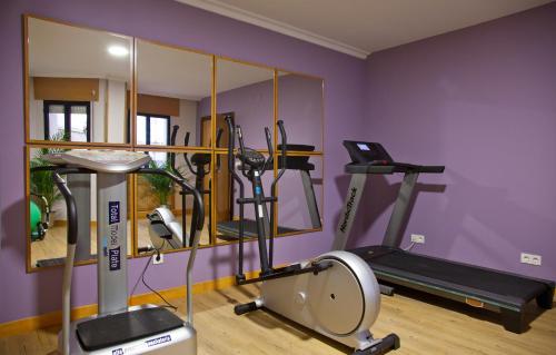 
Gimnasio o instalaciones de fitness de Hotel Palacio de Cristal
