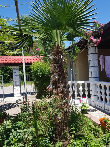 Galería fotográfica de Apartments Ana en Star Dojran