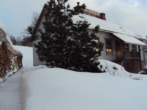 a christmas tree in the snow in front of a house at Saule in Talsi
