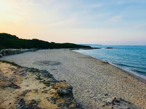 a beach with rocks and the ocean on a clear day at Tenuta Turchi in Otranto