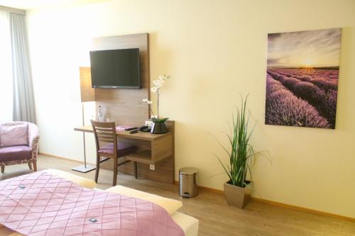 TV a/nebo společenská místnost v ubytování Boutique Hotel zur Post