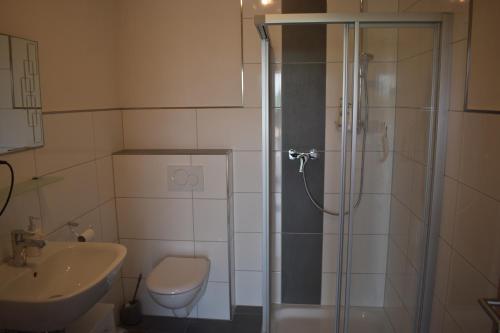 a bathroom with a shower and a toilet and a sink at Ferienwohnung Kerstenhof in Willich