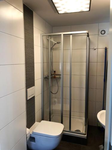 a bathroom with a shower and a toilet and a sink at Fuchsbau in Königstein an der Elbe