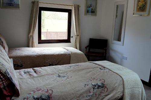 a bedroom with two beds and a window at Arrowwood Self Catering (Wagtail and Nuthatch) in Kington