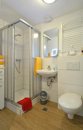 ein Bad mit einer Dusche, einem WC und einem Waschbecken in der Unterkunft FeWo Kröger in Trier
