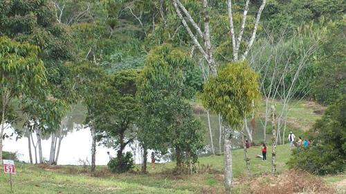 a group of people walking near a body of water at Hotel El Ganadero in El Total
