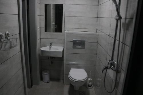 a small bathroom with a toilet and a sink at Hostel Sleeping Beauty in Ljubljana