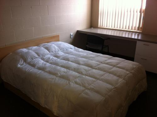 a bedroom with a bed and a desk and a window at Residence & Conference Centre - Sudbury North in Sudbury