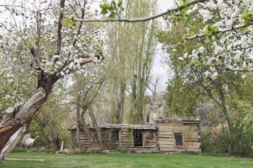 an old log cabin in a field with trees at Hidden Canyon Retreat in Baker