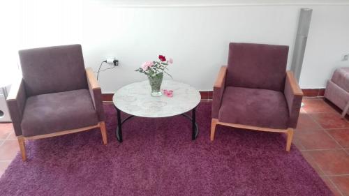 two chairs and a table with a vase of flowers at Apartment Dixy in Belgrade