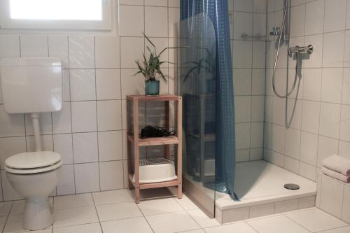 a bathroom with a shower and a toilet and a sink at Ferienwohnung Antes in Heppenheim an der Bergstrasse