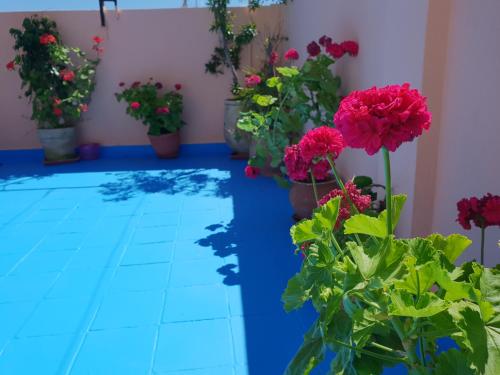 a room filled with potted flowers and a pool at Dar Khadija in Asilah