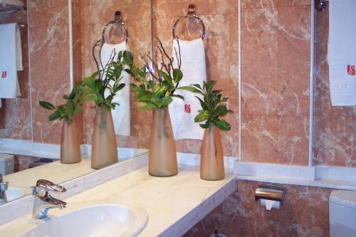 drie vazen met planten op een aanrecht in een badkamer bij Hotel Sant Quirze De Besora in Sant Quirze de Besora