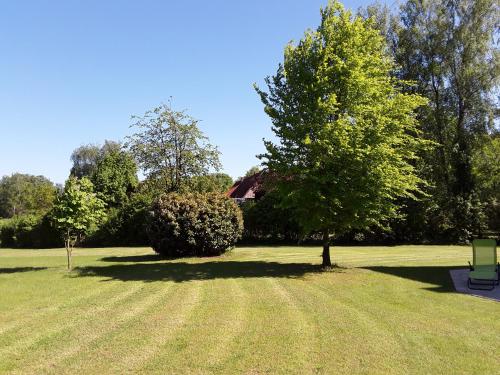 Taman di luar Ferienwohnung Aufderhaar