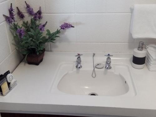 a white bathroom sink with purple flowers on it at Redwood Lodge Motel in Levin