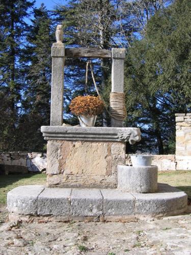 a stone fountain with flowers on top of it at Hotel Sant Quirze De Besora in Sant Quirze de Besora