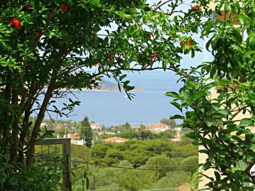 a view through the branches of a tree with red flowers at Thimari Sports & Spa with private pool and jacuzzi in Sounio