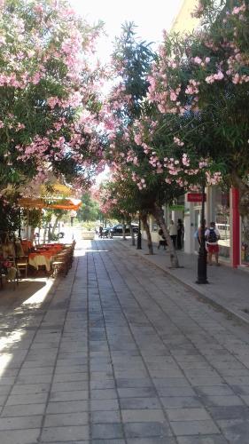a tree lined street with tables and trees with pink flowers at Milva Apartments in Kos Town
