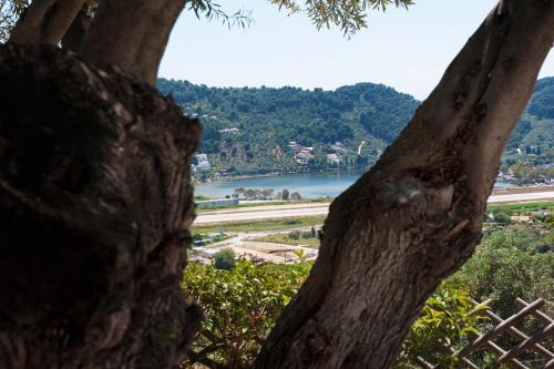 a view of a river from behind a tree at Apartments Villa L&M Skiathos in Skiathos Town