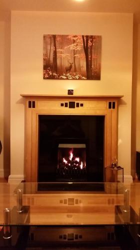 a living room with a fire in a fireplace at Lough Rynn Stylish Self-Catering in Mohill