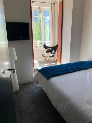 Appart'Hotel Aiguille Verte & Spa photo 24