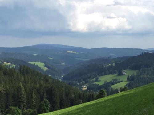 a view of a green valley with trees at Glückliche Elfen in Sankt Kathrein am Hauenstein