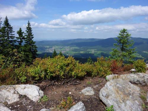 a view from the top of a mountain with trees and rocks at Ferienhaus Hornauer in Obertraubenbach