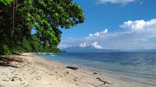 a sandy beach with trees and the ocean at Panorama Backpackers in Bunaken