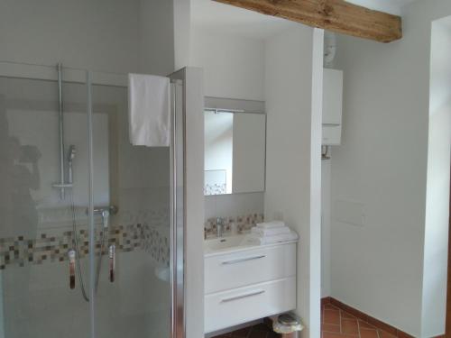La salle de bains est pourvue d'une douche et d'un lavabo. dans l'établissement La Corte del Conte, à Rovereto