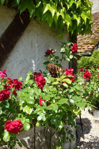a bush of red roses in front of a building at Le Montillon in Tour-en-Sologne