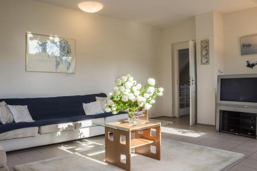a living room with a blue couch and a tv at Vila Les Kralovstvi in Nemojov