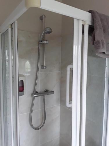 Gallery image of Riverview House in Athlone