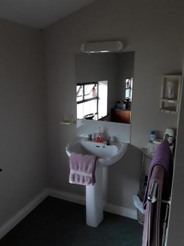 Gallery image of Riverview House in Athlone