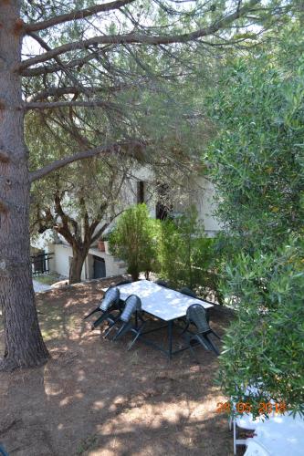 Κήπος έξω από το Villa Palio Tsifliki