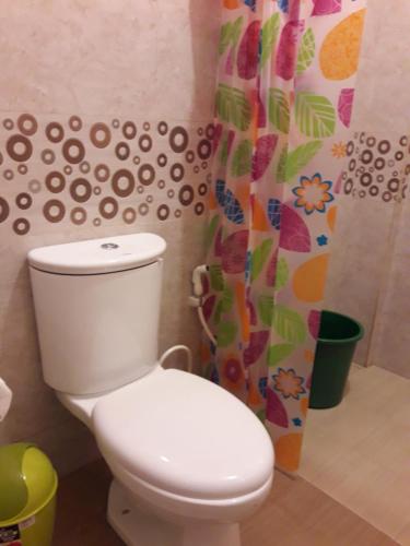 a bathroom with a toilet and a shower curtain at cubby's guesthouse in San Vicente