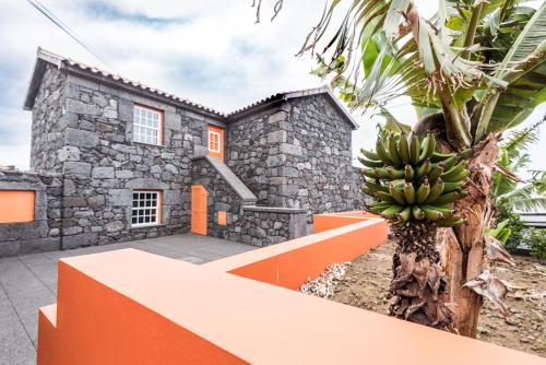 a house with a banana tree in front of it at Casa Céu D'Abraão in Piedade