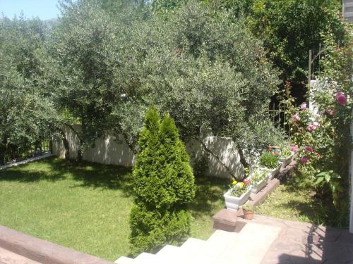 Jardín al aire libre en Apartments Popovic 2