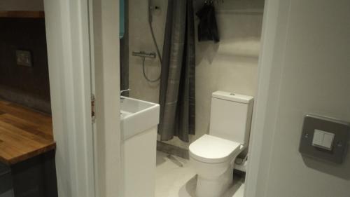 ロンドンにあるHoxton Subterranean Appartmentのバスルーム(トイレ、洗面台、シャワー付)