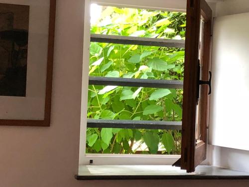 Zahrada ubytování A o Soâ B&B