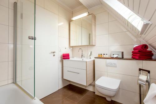 a bathroom with a toilet sink and a shower at Hotel Ostseeresidenz Cammann Grömitz in Grömitz
