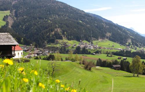 a green valley with a village in the mountains at Musikhof Lexer in Liesing