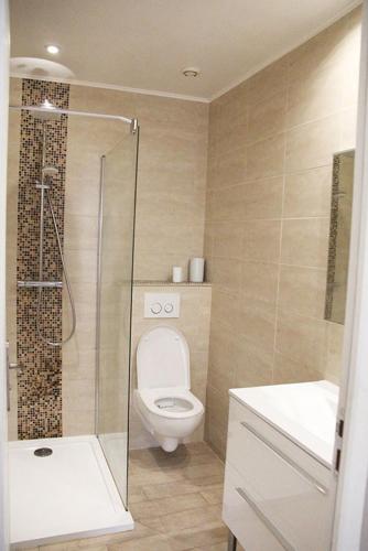 une salle de bain avec toilettes, douche et lavabo dans l'établissement Charmant F2 dans joli village Corse, à Omessa