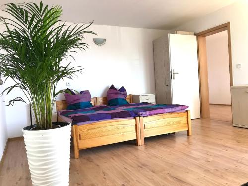 Fotografie z fotogalerie ubytování Pension am Anker v destinaci Grzybowo