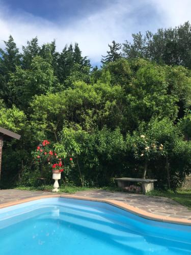 a blue swimming pool with a table and trees at Rossella alla Villarella dei Tulipani in Asti