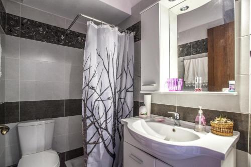 a bathroom with a sink and a toilet and a mirror at Rena's House Afissos in Afissos