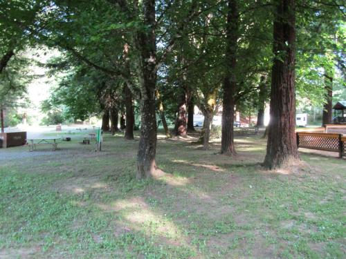 a park with trees and a picnic table and benches at Dean Creek Resort in Redway
