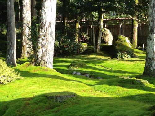 a garden with trees and a stream in the grass at Hotel Airport Komatsu in Komatsu