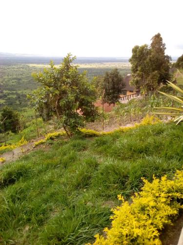 Gallery image of Queen Elizabeth PVT Lodge in Kichwamba
